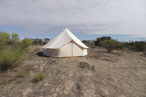 Starfields Luxury Camping - Tourism Townsville 1