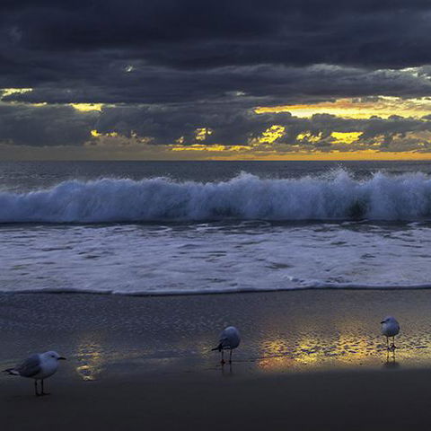 Surfers Horizons - Tourism Townsville 3