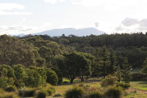Catherine Lodge Farm Gate Cottages - Tourism Townsville 21