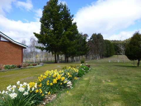 Quamby Pines Chalet - Tourism Townsville 23