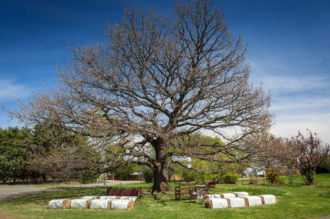 Ratho Farm - Tourism Townsville 8