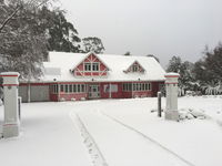 Cradle forest inn