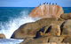 Cloudy Bay Beach House - thumb 29
