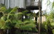 The Wombat Cottage - thumb 3