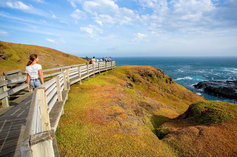 BIG4 Ingenia Holidays Phillip Island - Tourism Townsville 19