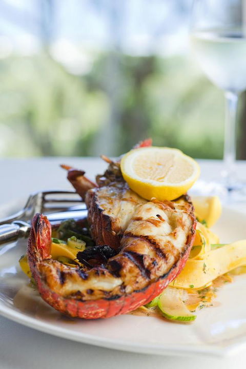 Chris\'s Beacon Point Restaurant & Villas - Tourism Townsville 8