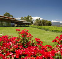 Balgownie Estate Vineyard Resort  Spa - Tourism Townsville
