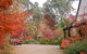 Merrimeet Cottages - thumb 5