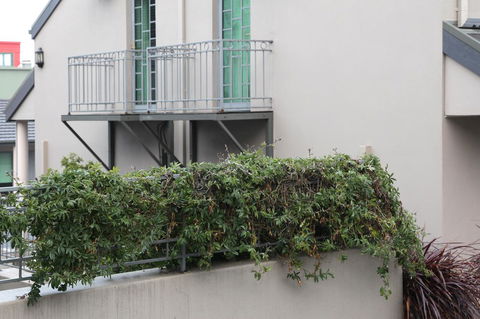 Quality Inn & Suites The Menzies - Tourism Townsville 23