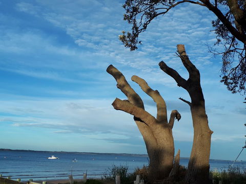 Apartments In Phillip Island Towers - Block C - Tourism Townsville 10
