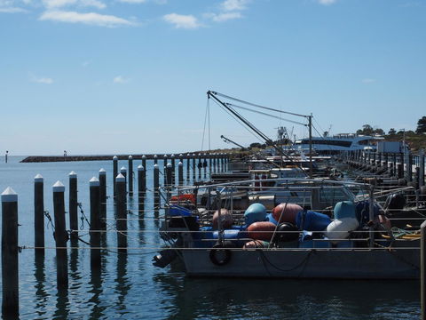Port Relaxation - Tourism Townsville 13