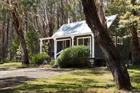 Bodhi Daylesford - Tourism Townsville 26