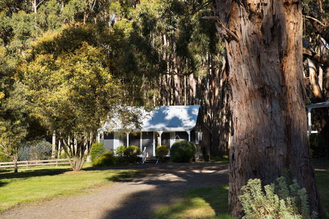 Bodhi Daylesford - Tourism Townsville 8