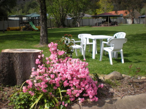 Willow Dene Holiday Apartments - Tourism Townsville 24