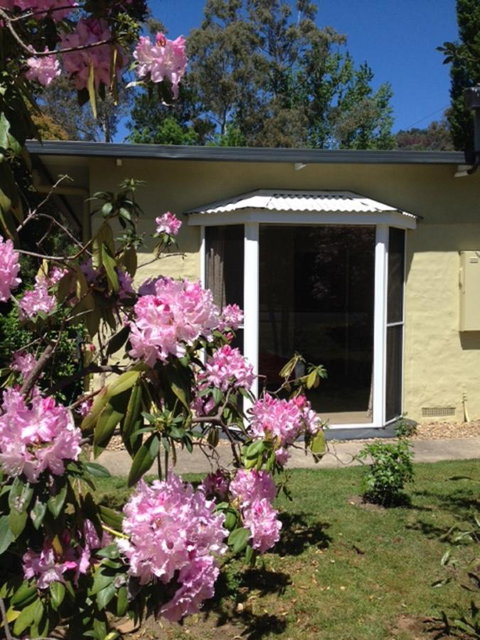 On The Banks - Tourism Townsville 20