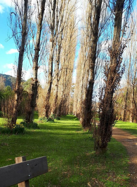 On The Banks - Tourism Townsville 11
