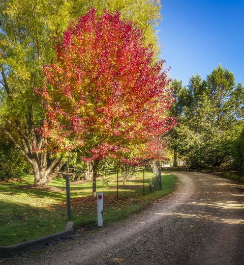 Bright Mystic Valley - Tourism Townsville 23