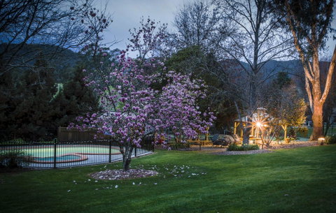 Bright Mystic Valley - Tourism Townsville 26