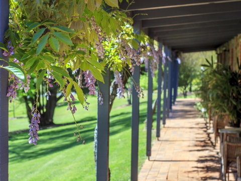 Bright Mystic Valley - Tourism Townsville 22