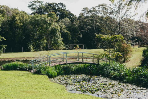 The Eumundi Dairy - Tourism Townsville 0