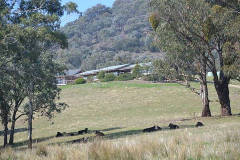 The Homestead At Holmeslgen At Eildon - Tourism Townsville 1