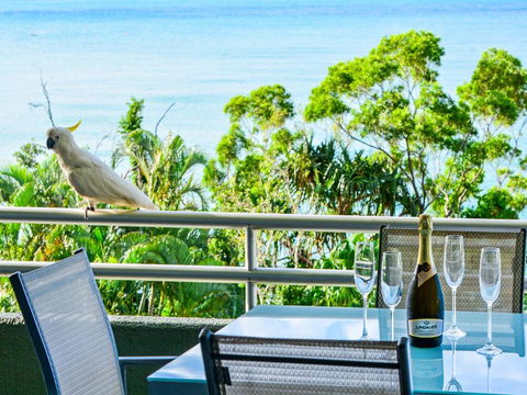 Top Floor Hibiscus Apartment 208 - Tourism Townsville 3
