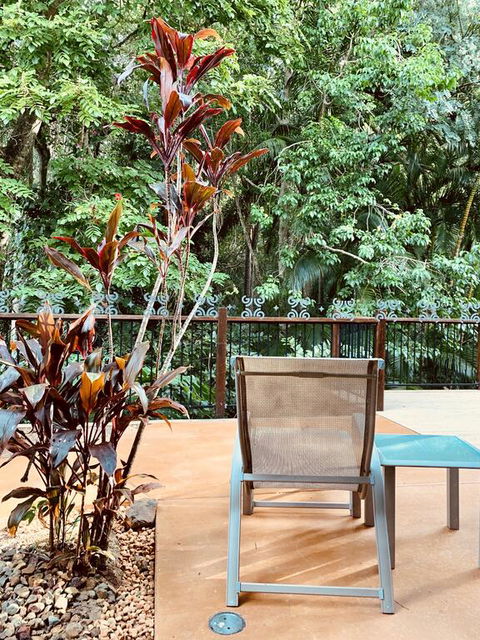 Tranquil Setting In Buderim - Tourism Townsville 3