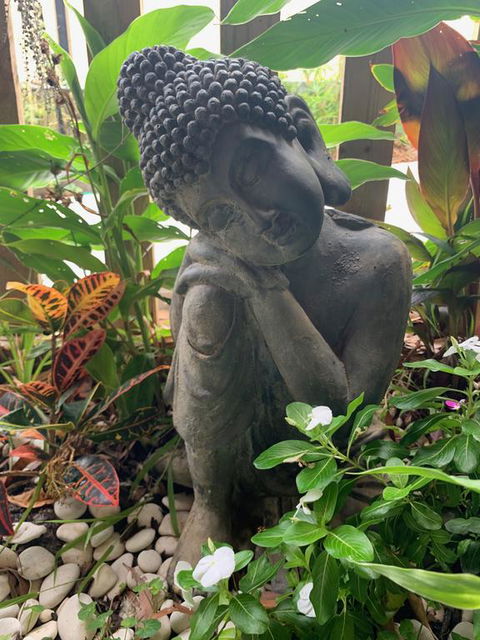 Tranquil Spa Retreat - Tourism Townsville 3
