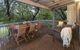 Tranquil Waters - Pet Friendly Family Beach House In Quindalup - thumb 2