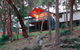 Treehouse - 3 Acre Elevated Nature Setting - thumb 3