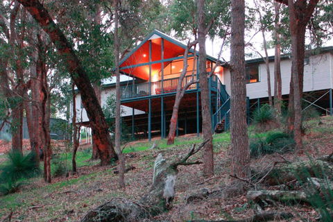 Treehouse - 3 Acre Elevated Nature Setting - Tourism Townsville 3