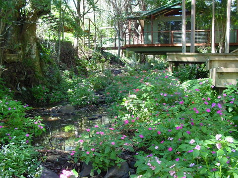 Treetops Montville - Tourism Townsville 0