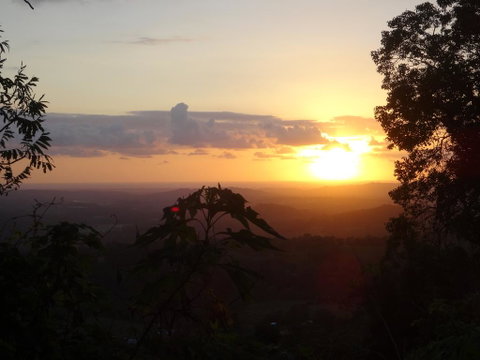 Treetops Montville - Tourism Townsville 3