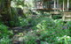 Treetops Montville - thumb 0