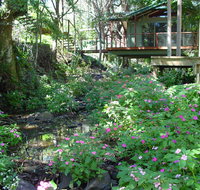 Treetops Montville - Tourism Townsville
