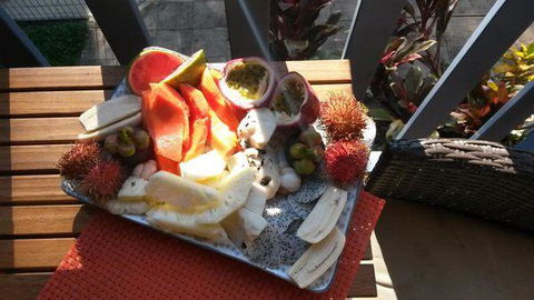 Turtle Reef Bed & Breakfast Cairns - Tourism Townsville 2
