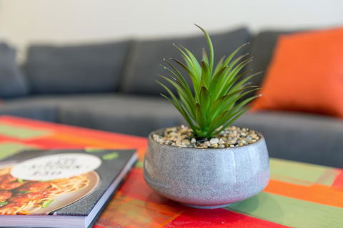 Urban Jungle! Executive Apartment In Heart Of CBD - Tourism Townsville 1