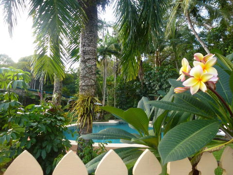 Villa Marine Holiday Apartments Cairns - Tourism Townsville 1
