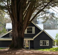 The Orchard - Tourism Townsville