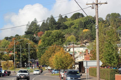 The Orchard - Tourism Townsville 35