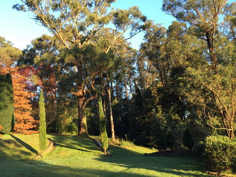 The Dan - Tourism Townsville 23