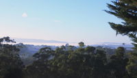 Book Monbulk Accommodation Vacations Tourism Townsville Tourism Townsville
