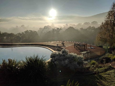 Kangaroo Manor - Tourism Townsville 6