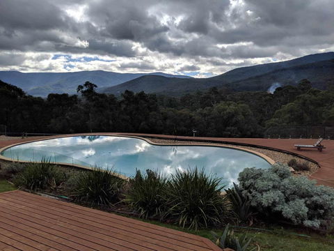 Kangaroo Manor - Tourism Townsville 7