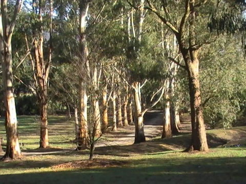 Kangaroo Manor - Tourism Townsville 21