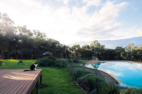 Kangaroo Manor - Tourism Townsville 23