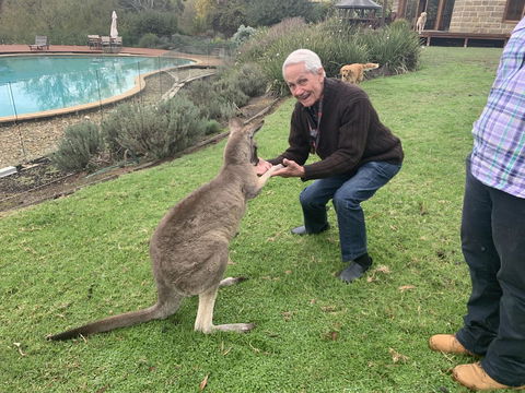 Kangaroo Manor - Tourism Townsville 13