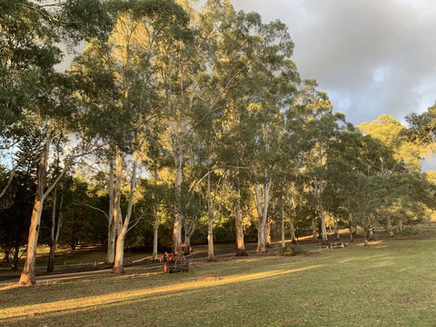 Kangaroo Manor - Tourism Townsville 15