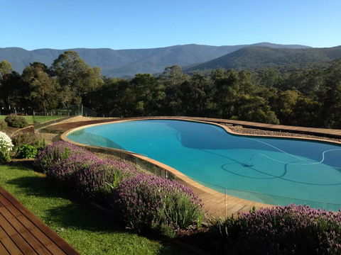 Kangaroo Manor - Tourism Townsville 14