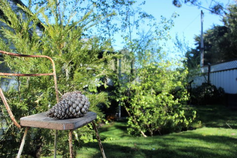 Cottage 4A - Tourism Townsville 13
